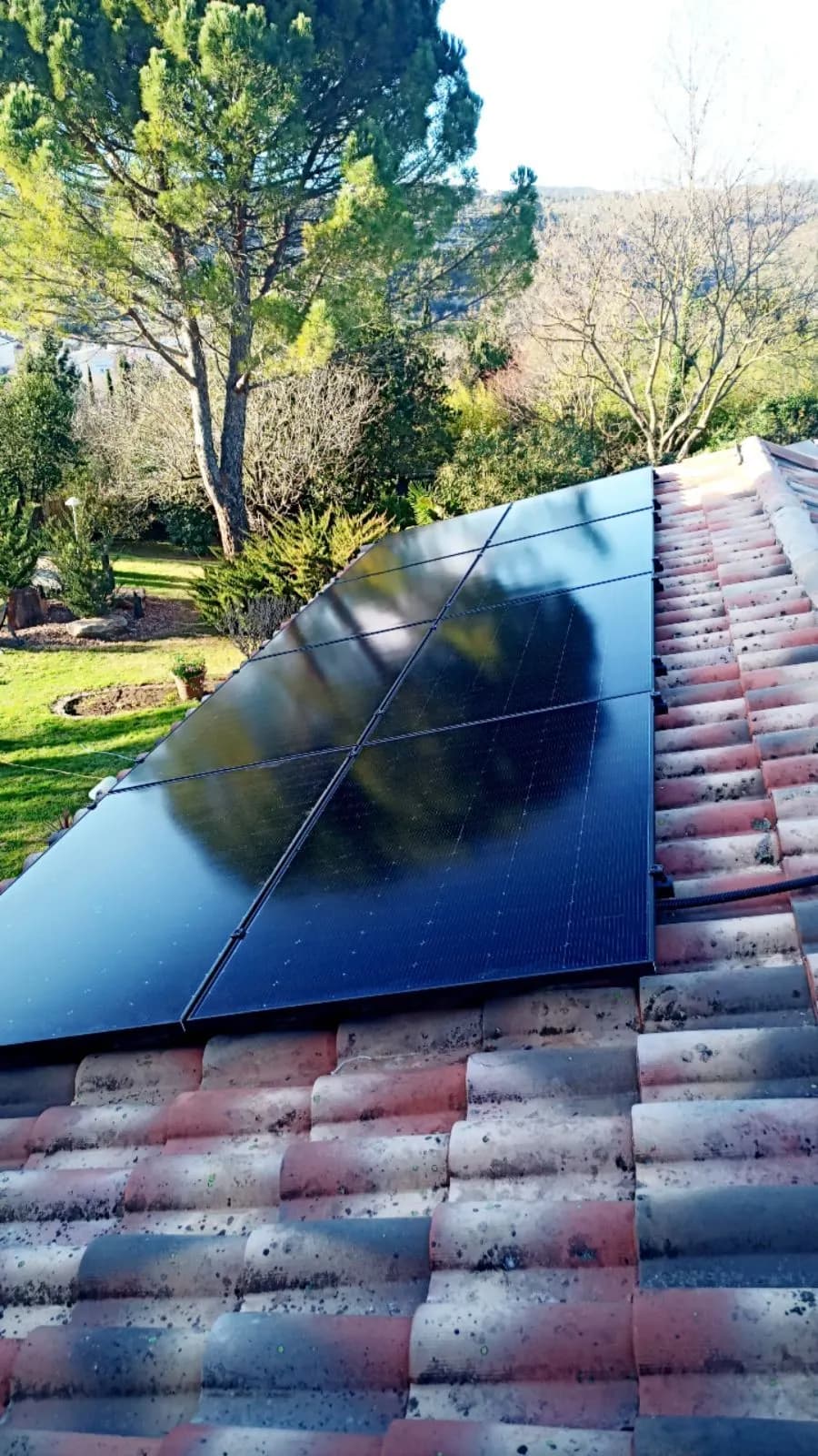 Huit panneaux photovoltaïques sur un toit de tuiles, grand pin en fond